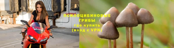прущая мука Арсеньев