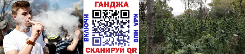 МАРИХУАНА марихуана  дарнет шоп  mega ССЫЛКА  Почеп 